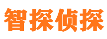 雨湖外遇出轨调查取证